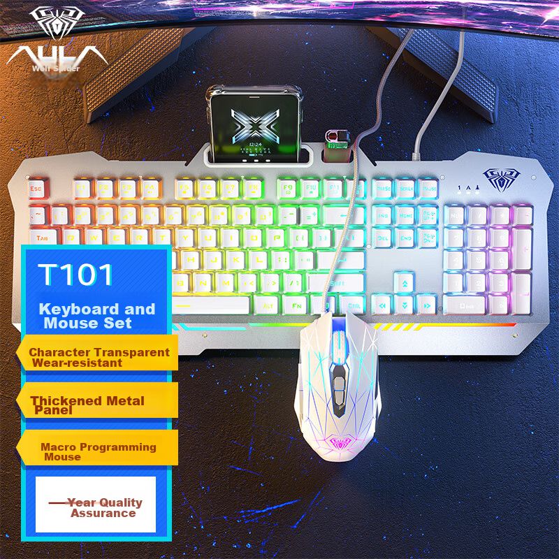 Teclado y Mouse AULA T101