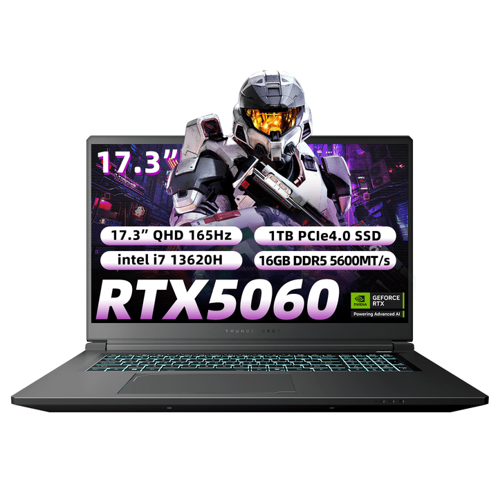 Laptop Thunderobot 911X17 Intel Core i7 13620HX RTX 5060 17.3" QHD 165Hz