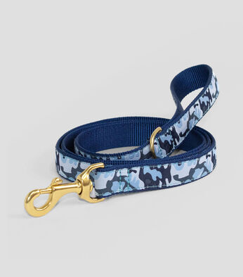 Correa ancha para perro