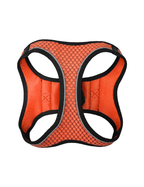 Arnés y correa para mascota